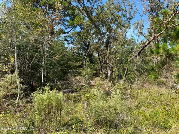 TBD HONEYSUCKLE Trail, Hawthorne, FL 32640