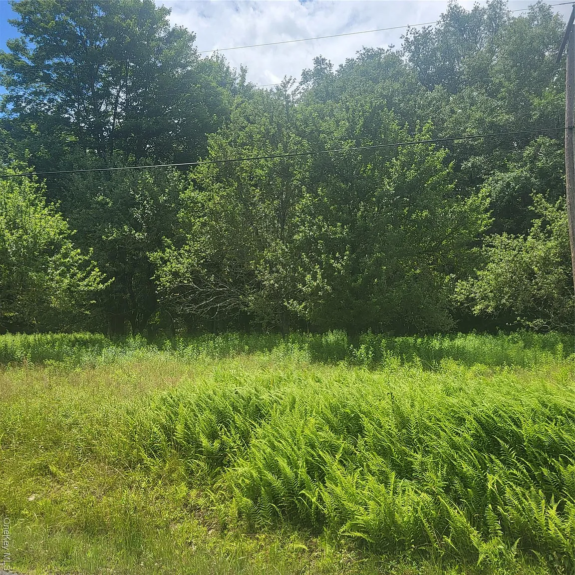 ** Creamery Road photo 1