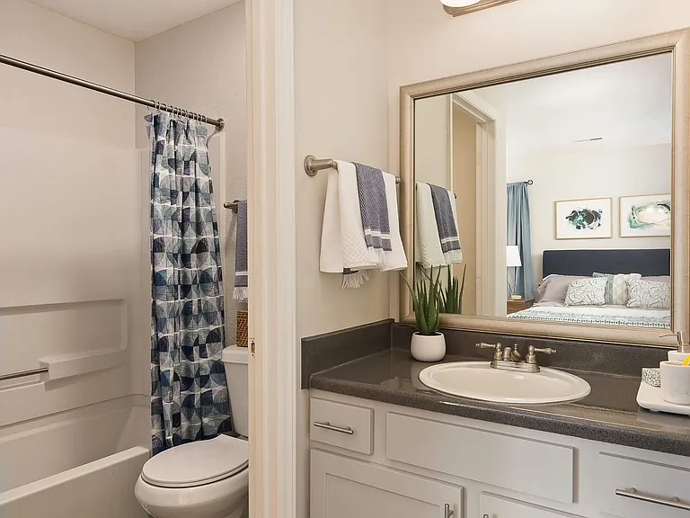 En-Suite Bathroom with Bathtub and Large Framed Mirror - Diamond Interior