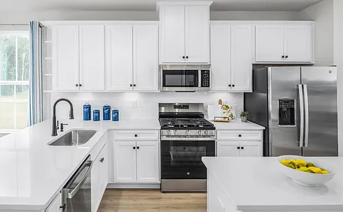 3036 Terroir Ln Photo 1