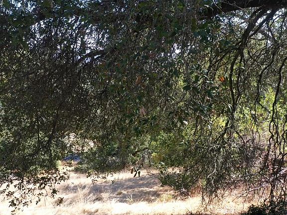 3rd image of 18766 Deer Park Drive