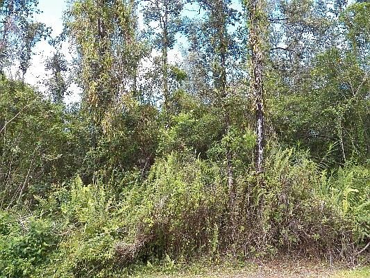 4th image of 16-2110 Silveroak Dr Lot 54