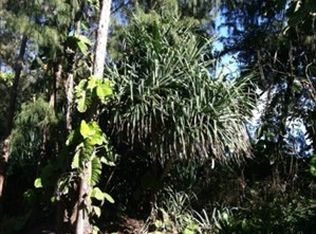 Ala Heiau Rd LOT 84, Keaau, HI 96749