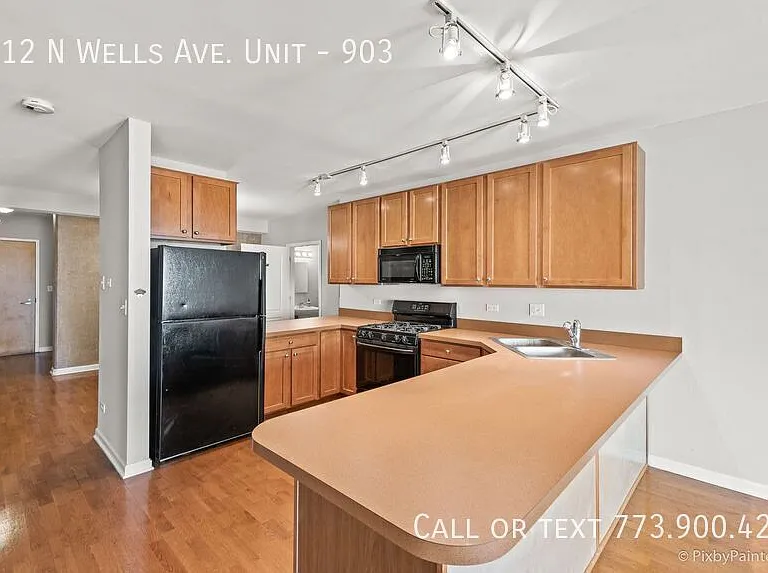 1212 N Wells St #903 — Photo 10