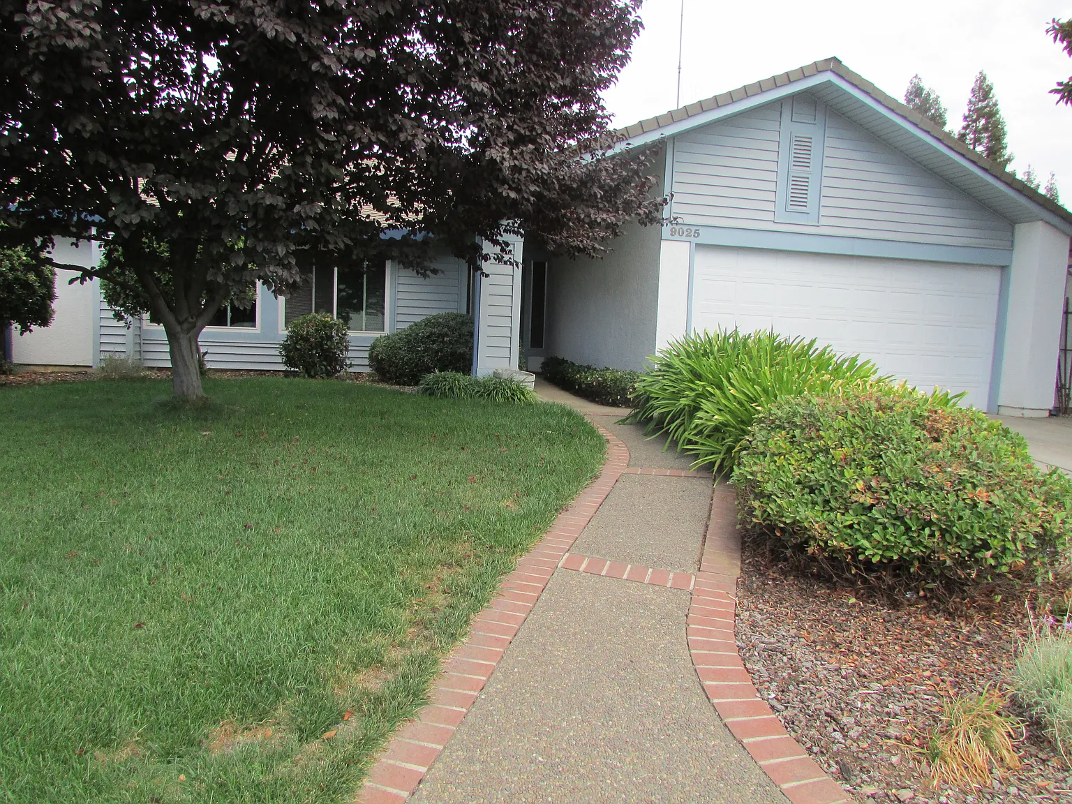 9025 Lismore Dr photo 1