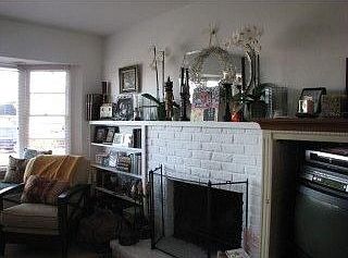 wood burning fireplace