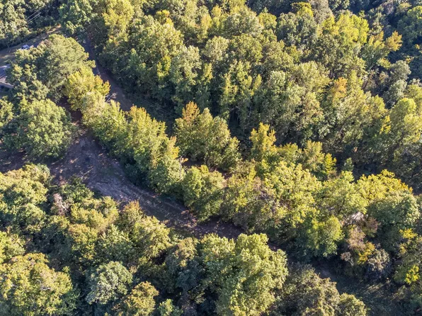 0 Doctor Lewis Rd, Ripley, TN 38063