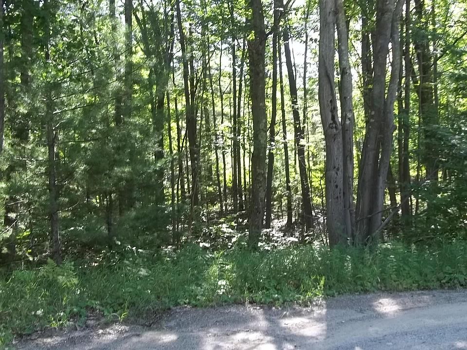 1st image of Ellen Dr