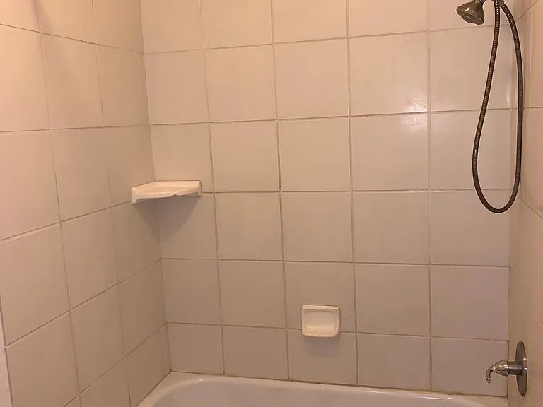 Toilet/shower area of master bath