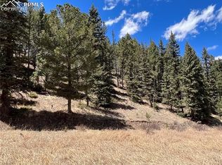 535 Willow Rd, Divide, CO 80814