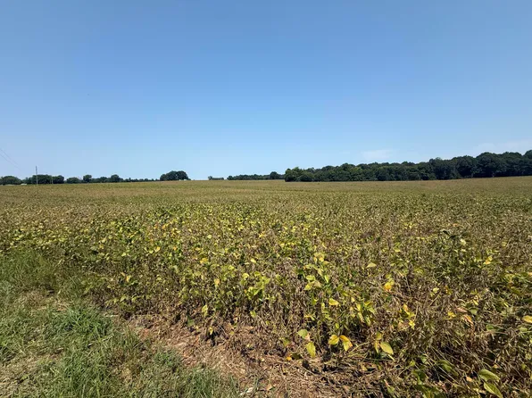 0 Palestine Church Rd, Dexter, KY 42036