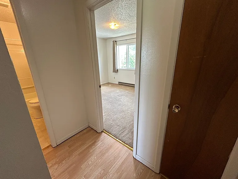 1214 E Adams — Photo 27