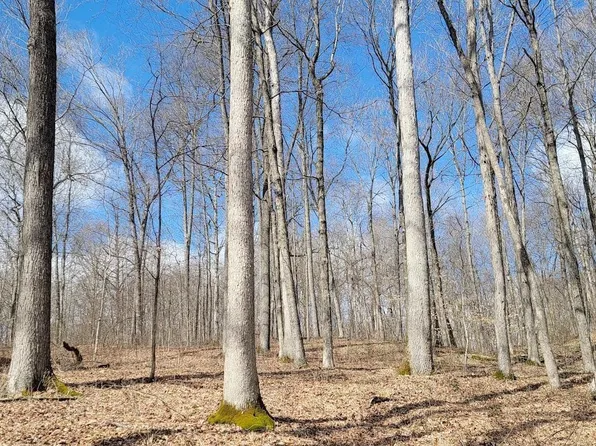 8669 Bird Ln, Shoals, IN 47581