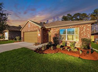 171 Courageous Side Way, Magnolia, TX 77354