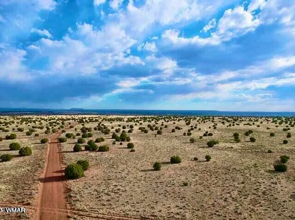 River Meadow Ranch Lots 216 #&-223, Concho, AZ 85924
