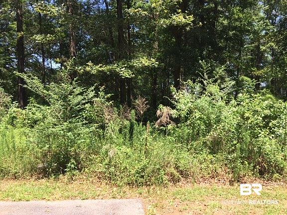 4th image of 0 Lost Haven Ct