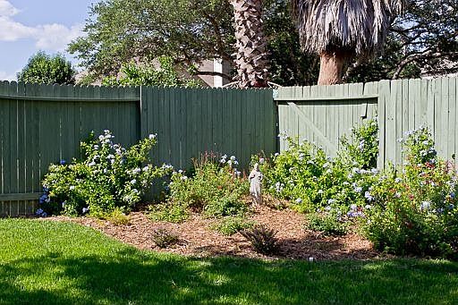 Beautiful Landscaping