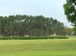 608 W Fenway Dr, Hernando, FL 34442