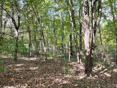 7500 Conservation St NE, Ada, MI, 49301