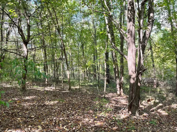 7500 Conservation St NE, Ada, MI 49301