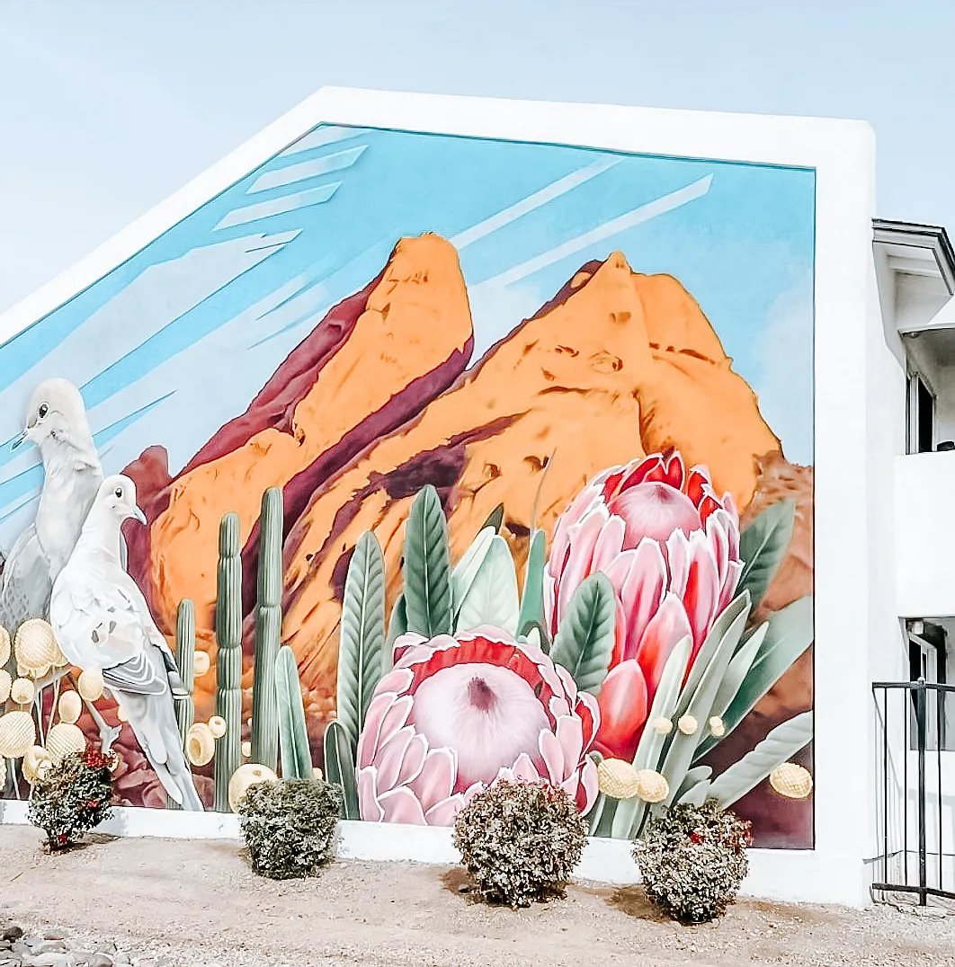 The Papago Gardens Apartments — Photo 2