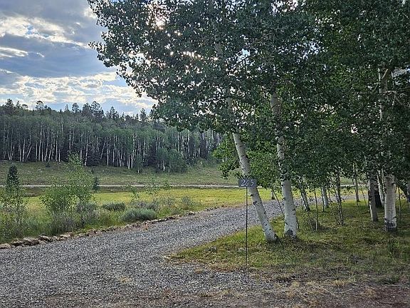 3rd image of 265 Ponderosa Way