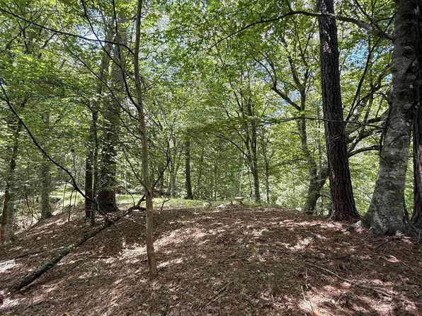 7735A Old Tunica Rd, Saint Francisville, LA 70775