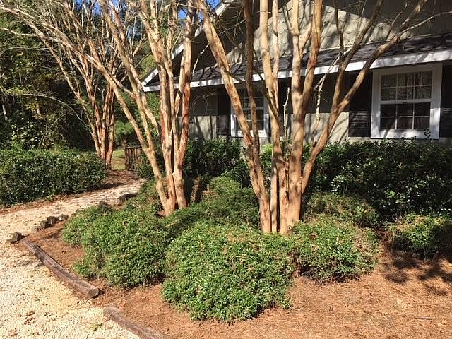 2nd image of 8281 Gayfer Road Ext APT 2A