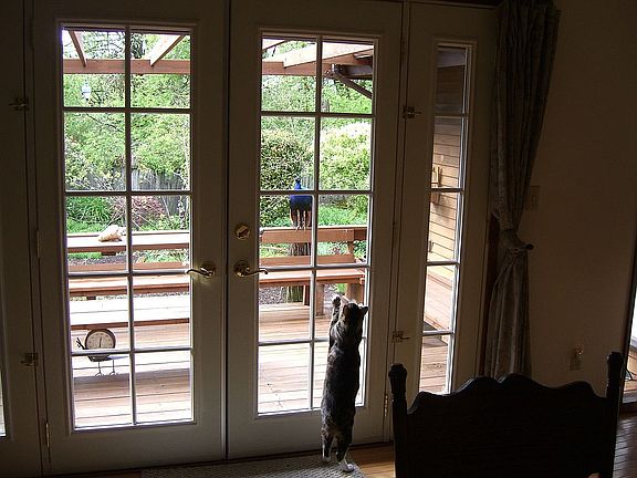 View to Deck from Din. Rm.