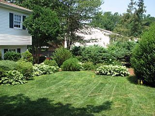 front yard