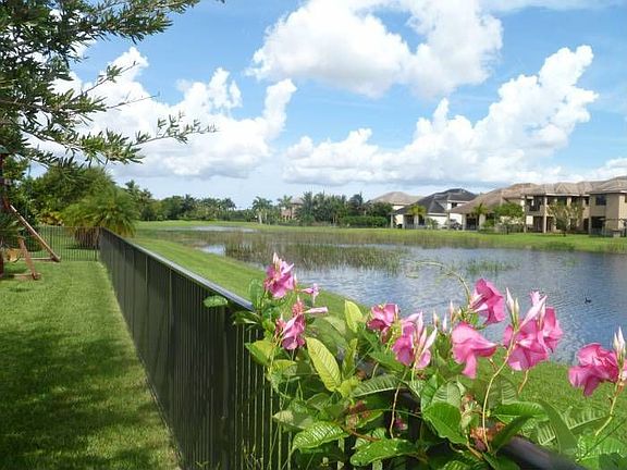 View from back yard