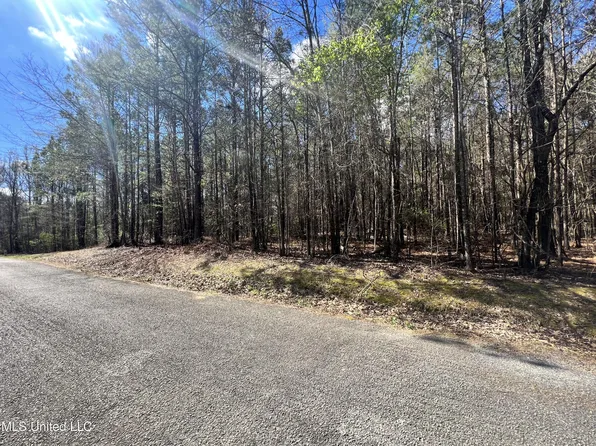 0 Henry Sample Rd, Lena, MS 39094