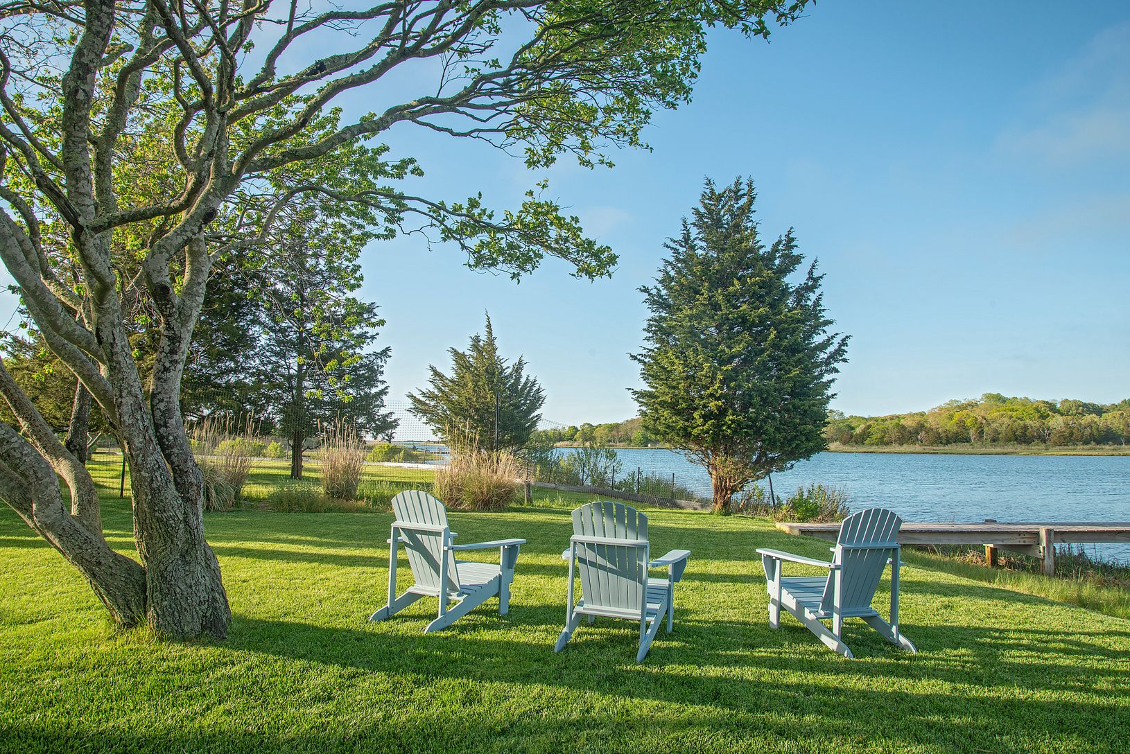 Adirondack chairs under the shad tree with views up the harbor.