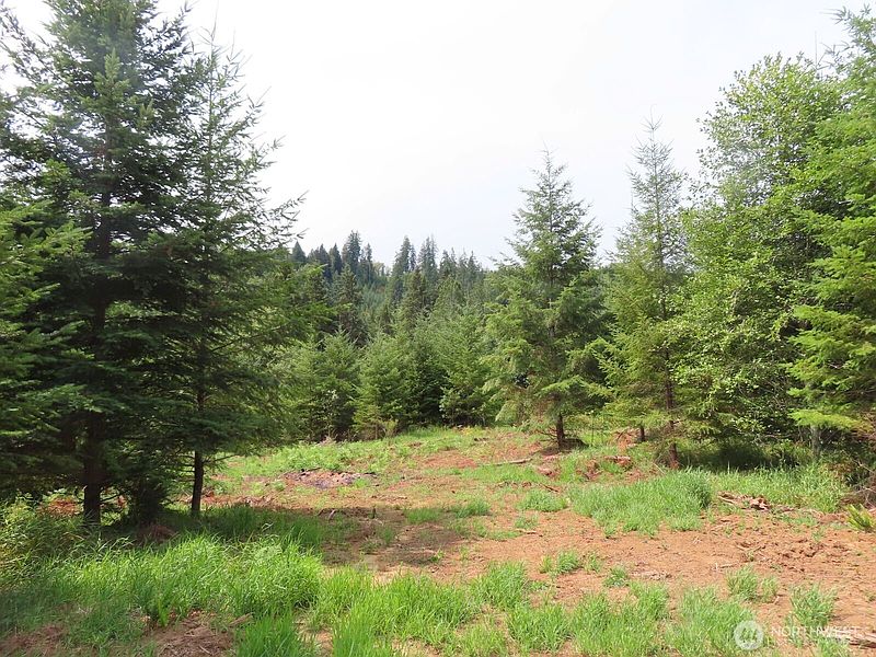 5th image of 0 Lot H Mill Creek Lane