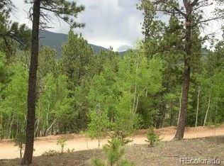 24 Anderson Rd, Bailey, CO 80421