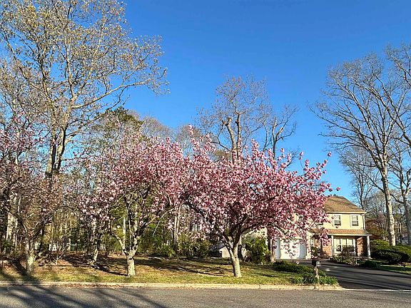 2nd image of 2 New Vernon Ave