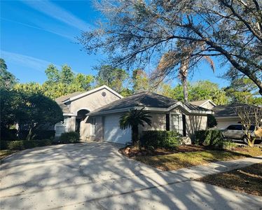 1661 Stafford Springs Blvd, Mount Dora, FL, 32757