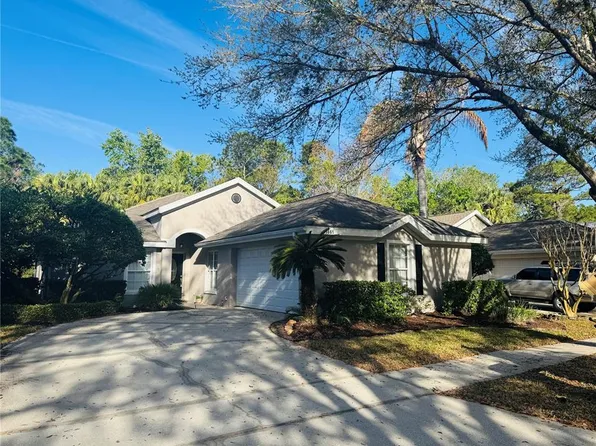 1661 Stafford Springs Blvd, Mount Dora, FL 32757