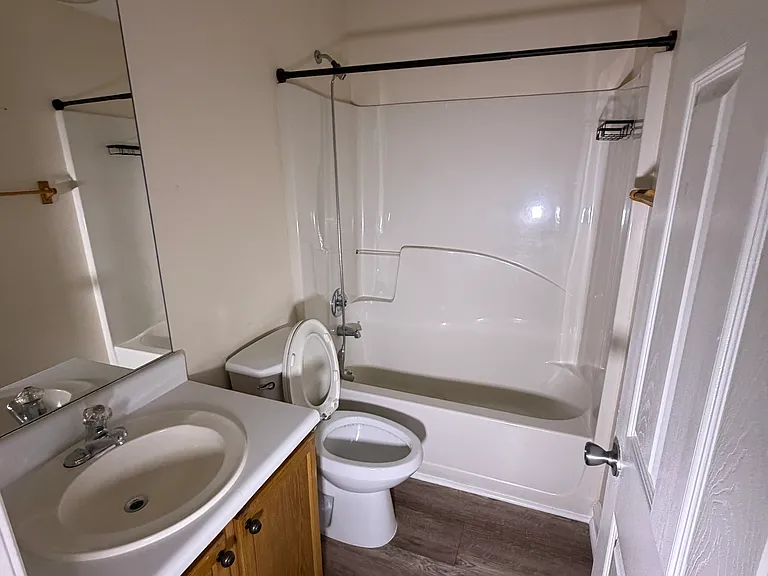 Guest and Hall Bathroom