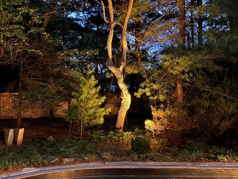 6 Clamshell Ave — Photo 31