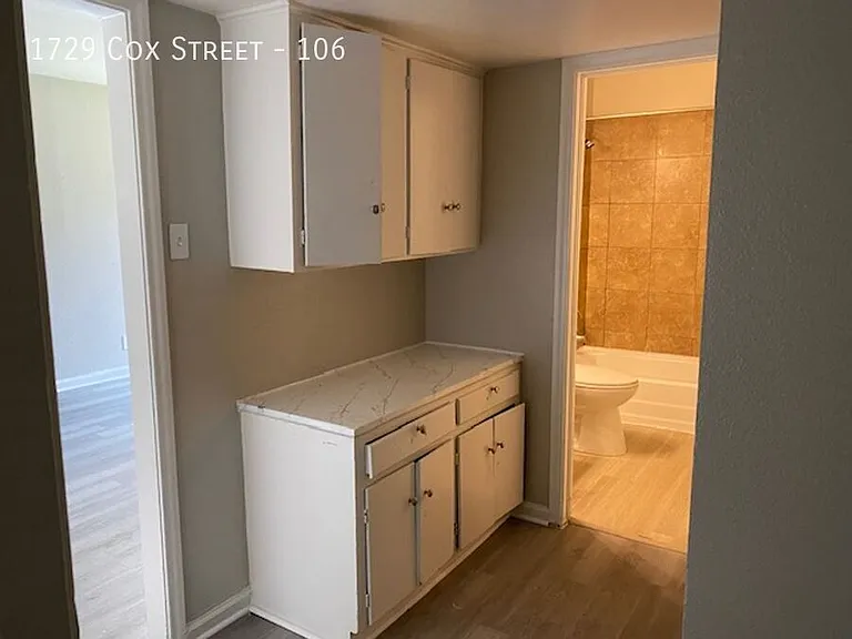1729 Cox St — Photo 508