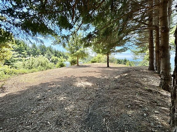 5th image of 542 & 554 Ridge Rd