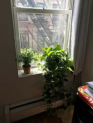 Rented by Vanderborgh Realty 