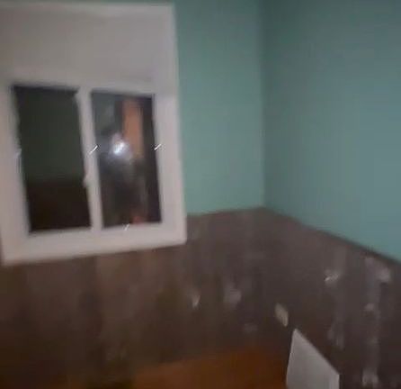 4th image of 2619 Alexander St