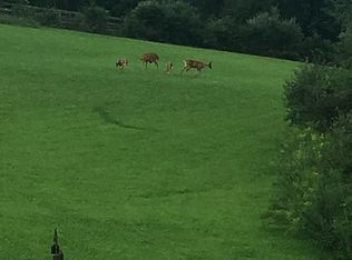 Mansfield Rd, Cogan station, PA 17728