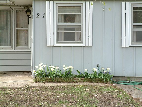 5th image of 21 Twin Creeks Ln