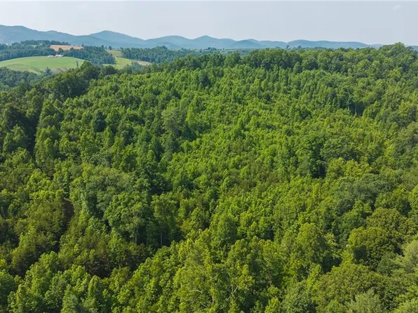 0 Old Vashti Rd #2, Taylorsville, NC 28681