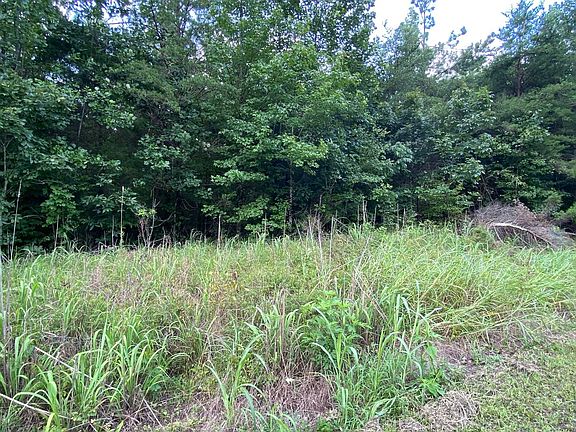 3rd image of Gendale & Bald Eagle Dr Lot 5-11-TR3