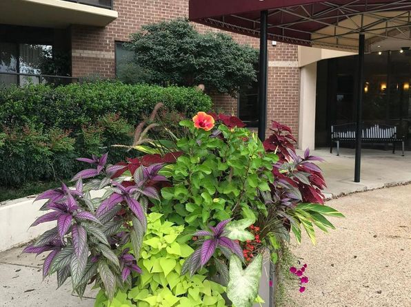 8350 Greensboro Dr Unit 803