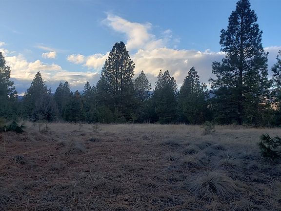 5th image of Early Dawn Dr
